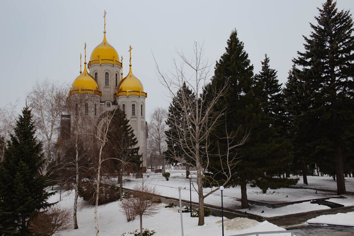 ���� ���� ������