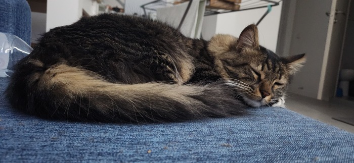 Ежедневный Рислинг #204