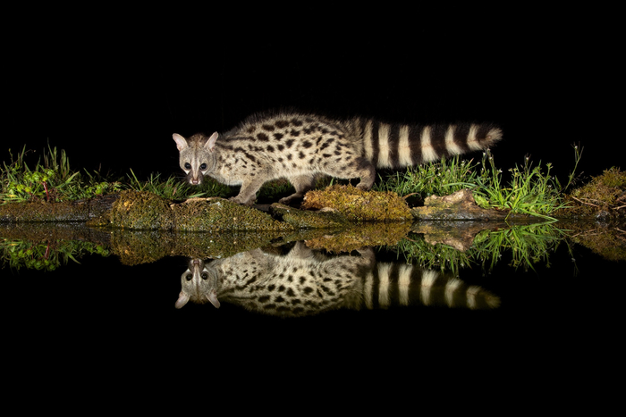 ������: ���� � ���������.