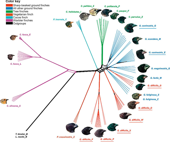 ������������ ����� ������� �������� ���-�� ���. �� ���� ������ �� �� ������� �� �����, ��� �� ������ ���������.