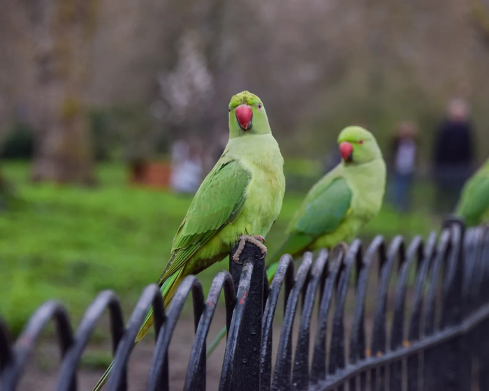 ������ � �� �� ������� �� ������� ������!