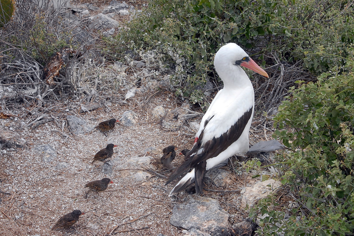 ������ �� �������.