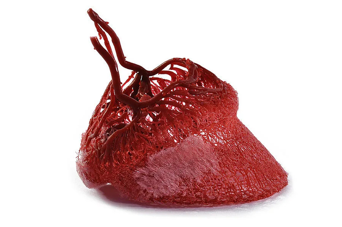 Вот так выглядит кровеносная сеть копыта изнутри. Выглядит жутко красиво, не правда ли?