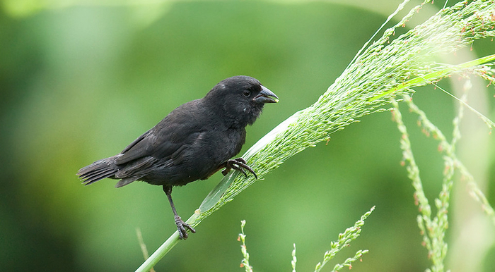 ����� �������� ������ �� ���� �����.