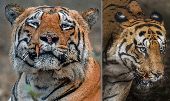 ���� �� ������� ���� � ������, �� ��������� � ���� ������.