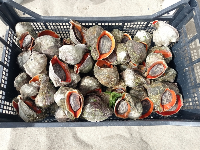 ������� � ������������� ����������� ����������?