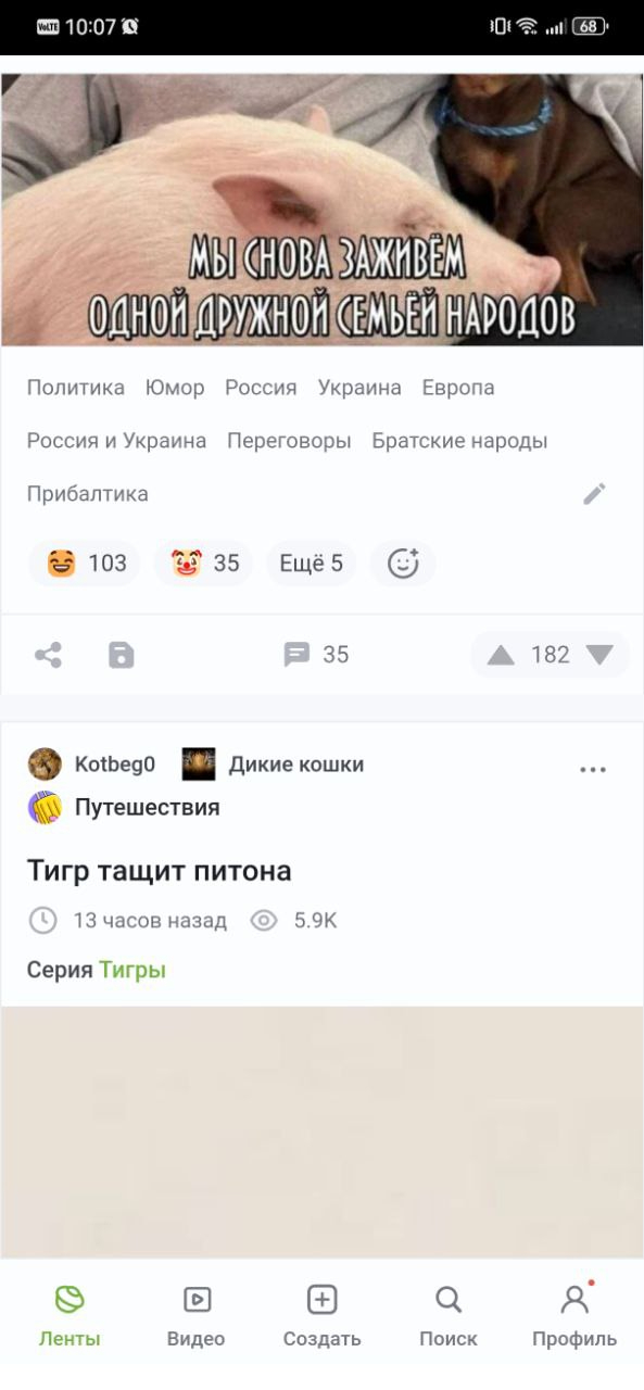 Мода на минималистичный дизайн поглотила Pikabu