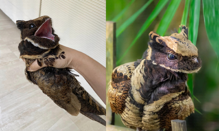 ������! �������! ���, ����� ��� ����������� ����?