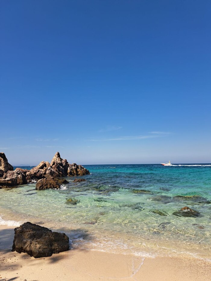 ���� ���� �� �� ���