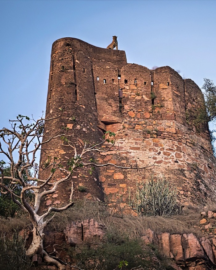 ����� �����������