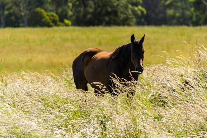 ����� ����� �� �������� �����!