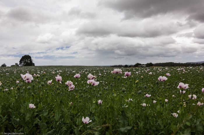 ���� ����� �����