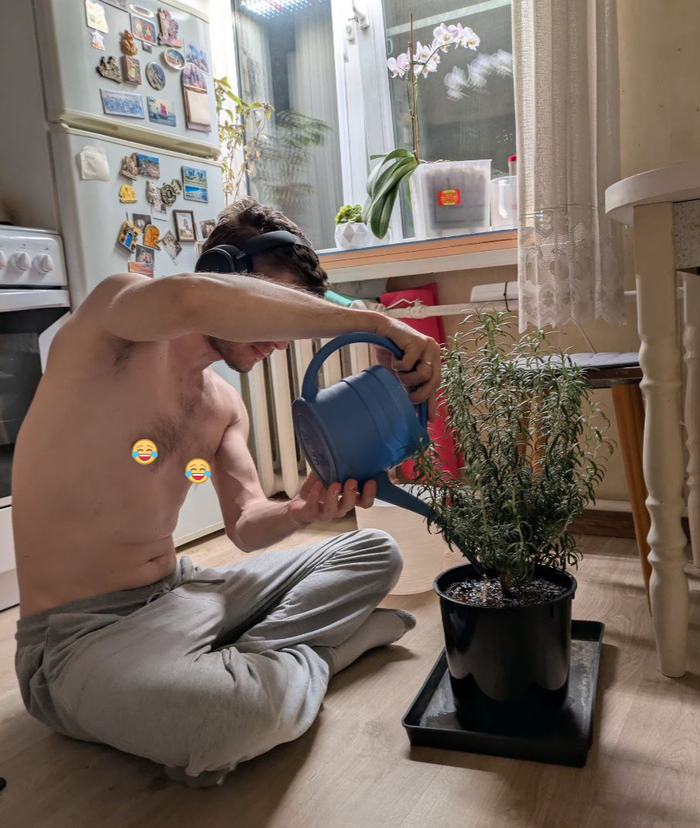 27-� ��������