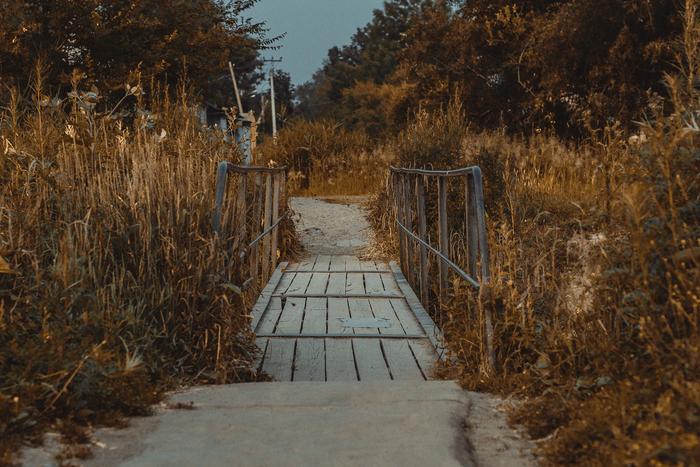 ����� �������� �������� � ���������� <!--noindex--><a href="https://pikabu.ru/story/mostik_v_nikuda_gdeto_v_poselke_gorkogo_13704416?u=http%3A%2F%2Ffoto-27.ru&t=foto-27.ru&h=c4dc76c26257bb313f0b0a64ab74262f5d50ea62" title="http://foto-27.ru" target="_blank" rel="nofollow noopener">foto-27.ru</a><!--/noindex-->