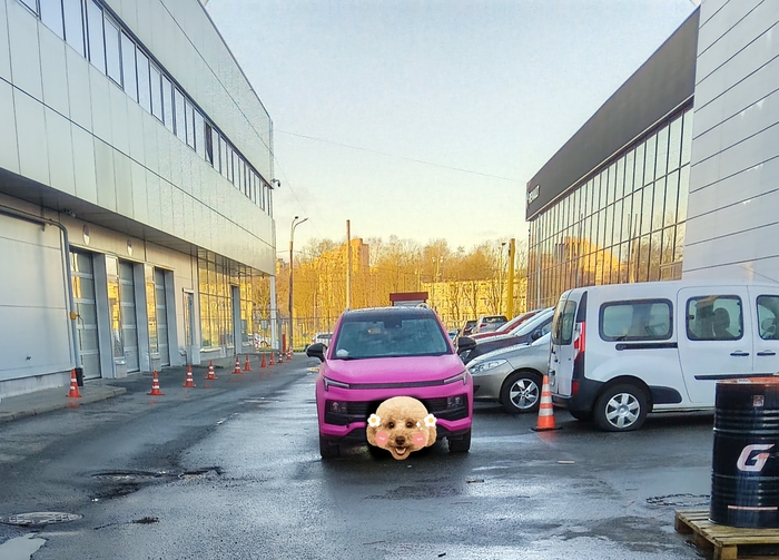 ����������