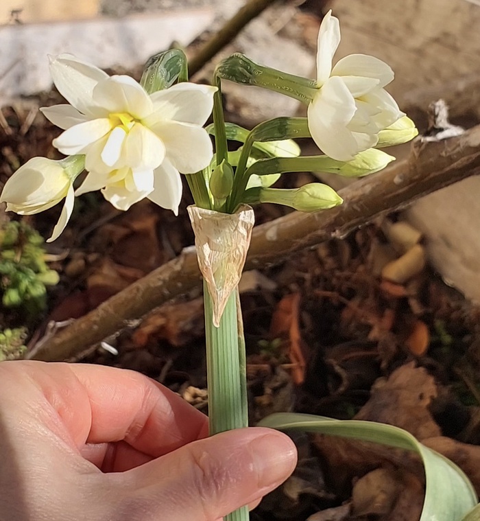 ������� � ������: ������, ����� � ��������