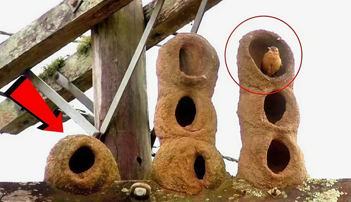 ���� ����� ����!