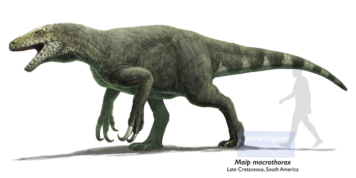 Хорошо, что тирекс маипа не видел. Он обитал на территории Северной Америки. Иначе вымер бы от зависти!