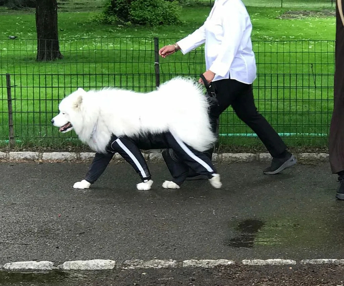 ��� ��� ��� ��������� �������� ����� � ������!