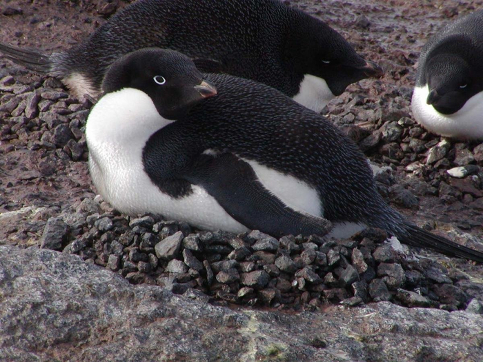 �� ������ ����������, ������� ������ ��� ������ �����!