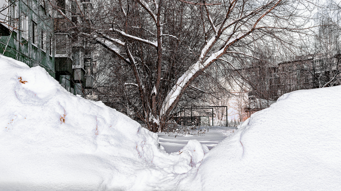 ������ �������