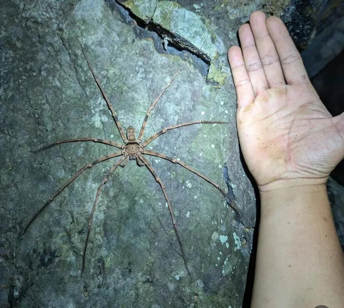 ������ �� ��������, �� ������ �� �����������. ������ ����!