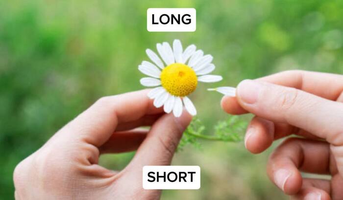 Long vs Short