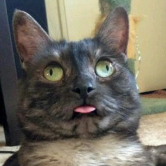 Это я, когда стал осмысливать происходящее )))