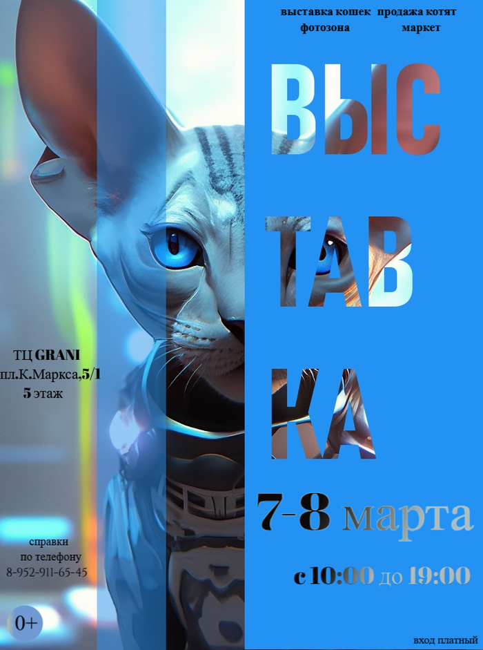 Выставка кошек в Новосибирске ТЦ GRANI