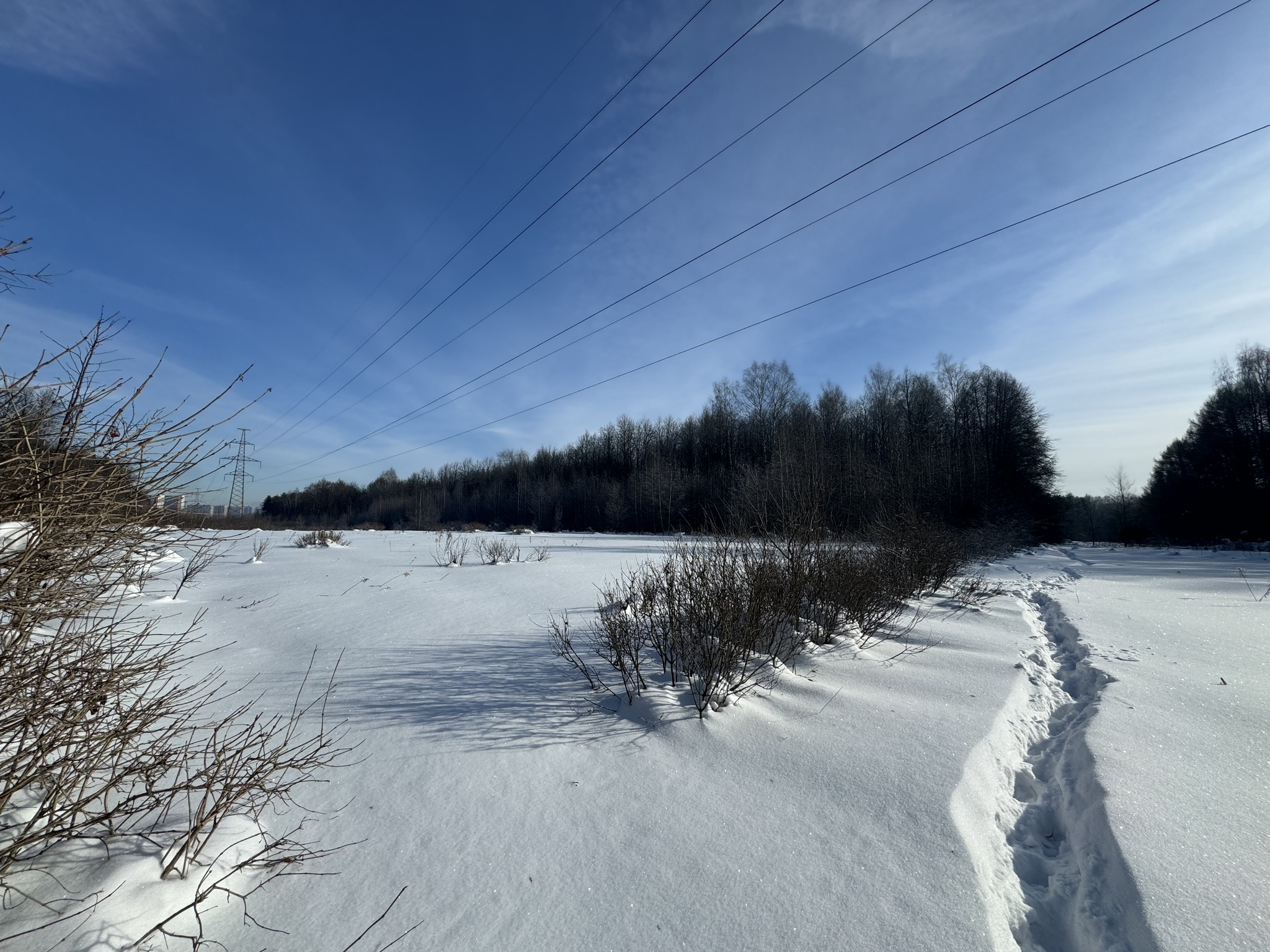 From Mytishchi to Korolev via Losiny Island - Series Photographs
, My, Mobile photography, Street photography, Beautiful view, Elk Island, Beginning photographer, Winter, Snow, Mytischi, City of Queens, Moscow region, The photo, Pond, Longpost