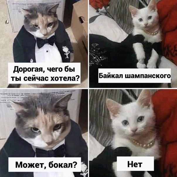 ��� �� ���� �������� ��� �����...