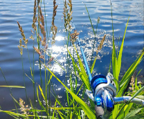 ������ ����������