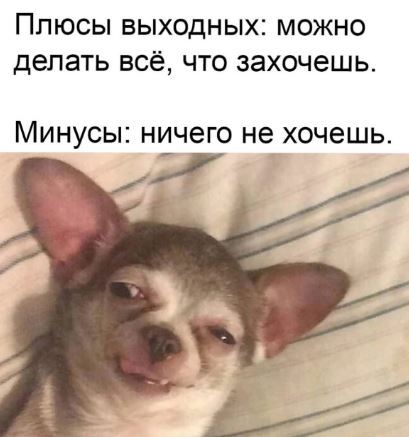 �� ���������