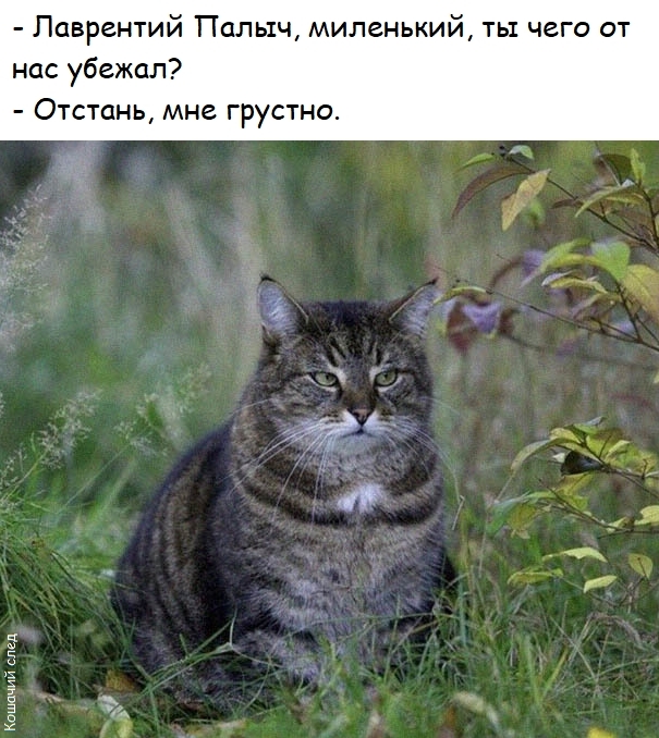 Лаврентий Палыч