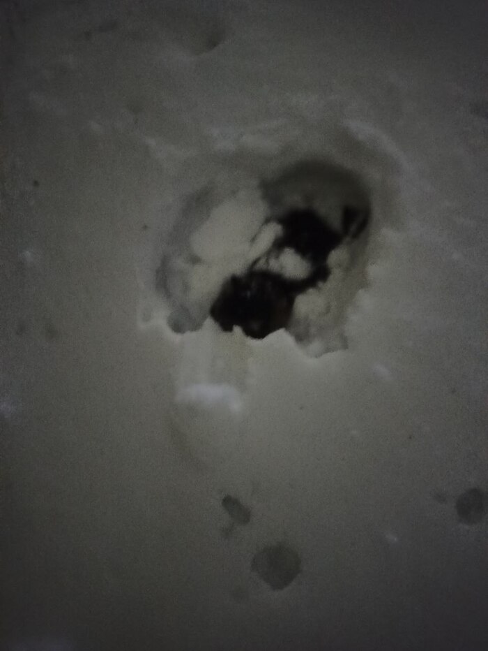 ������ �� �����