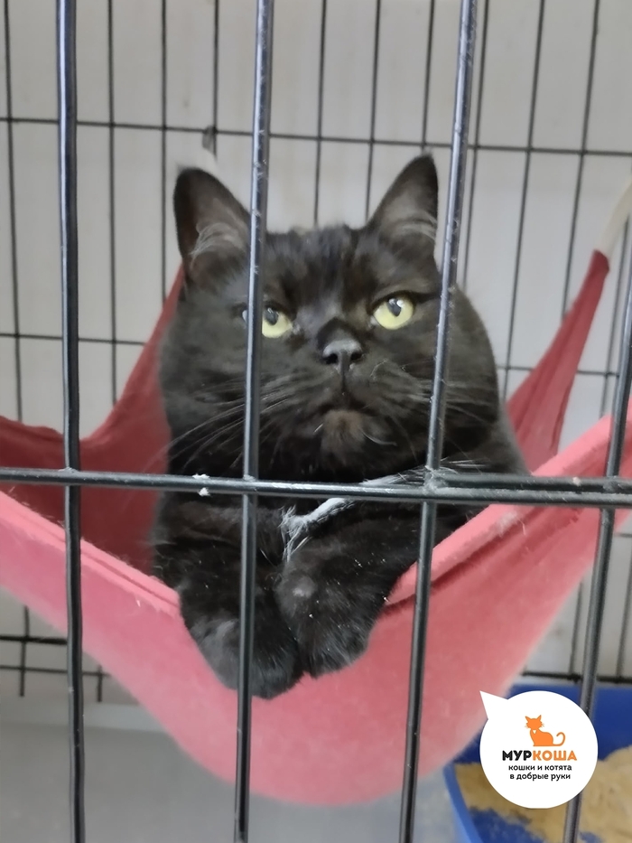 � ��� �������� ��������� � ������� 2021 ����.