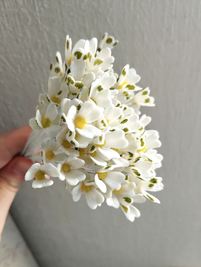 �������� ����������� ����