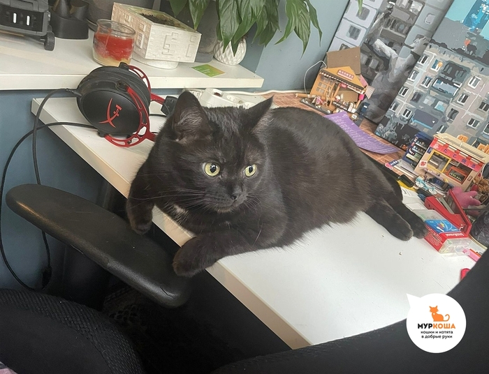 ���� ������� ����� �������� �������� � ����, ����� ������ �� �����������.