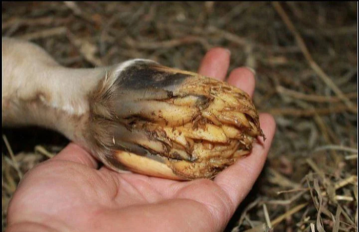 �� ������ � �����, �� ������� ����� ��������!