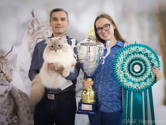 �� ����� ����, �� ����� ��� ������ �����. ������ �������� �� ������� ���������� ������.