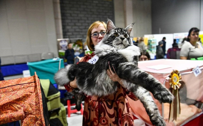 ����� �������� ������ ������ �� ����� ������ � �����.