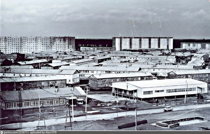 �������� � 1980-�