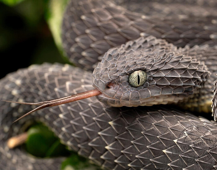 �������� ������