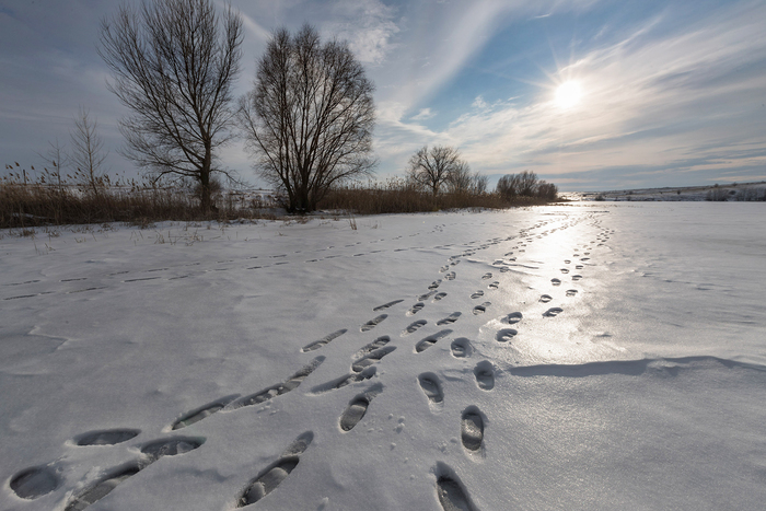То же место, но с другого угла и не на восходе, а на закате. Да и звери пострашнее.