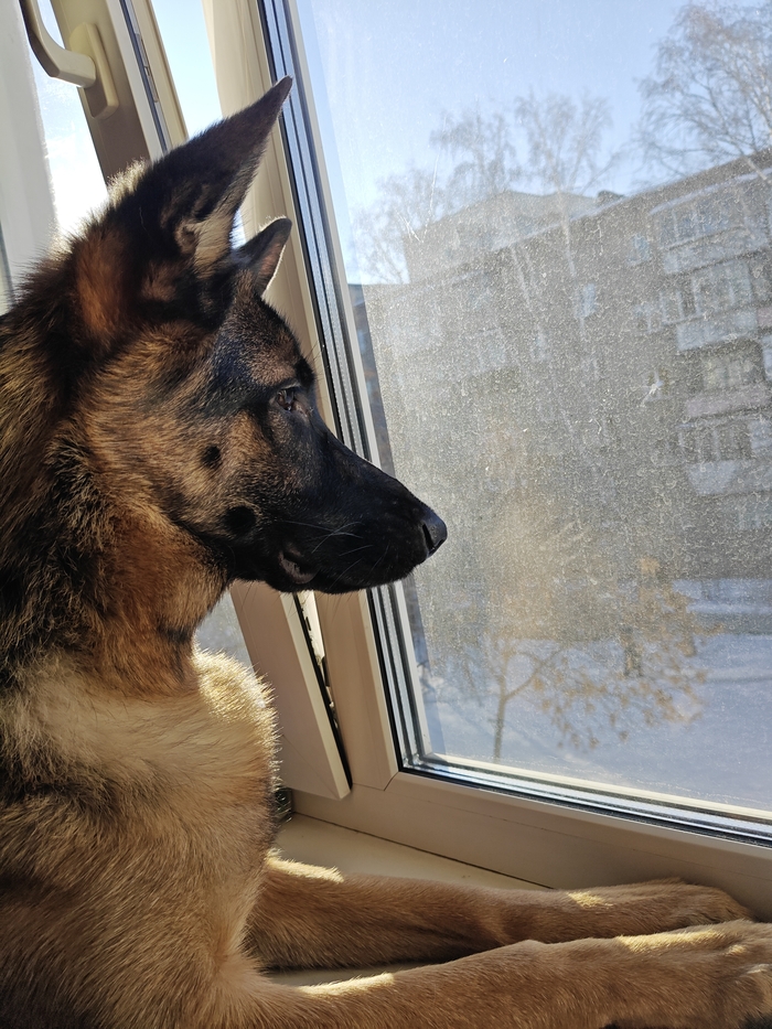 ������ - ���� ��������?