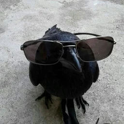 Scarecrowy