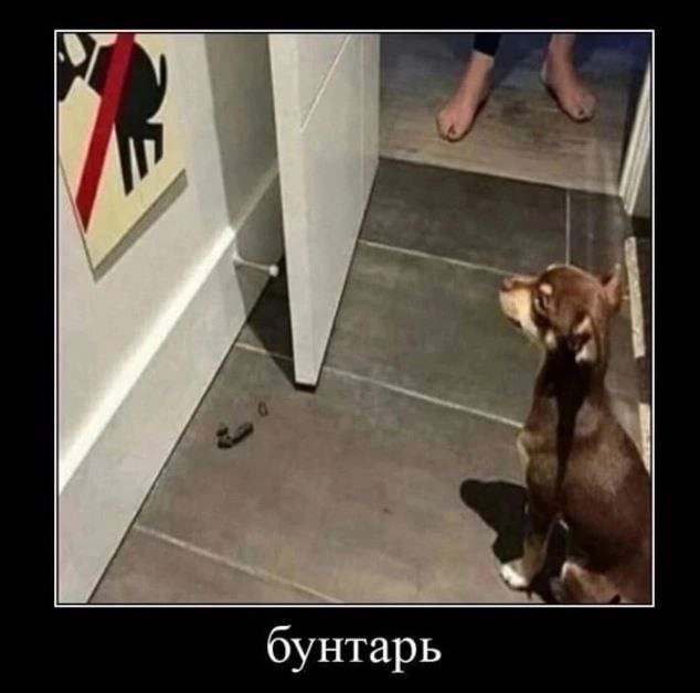 ��� �����!