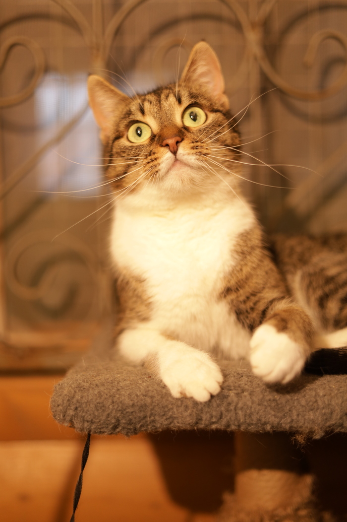 ����� ���� ���