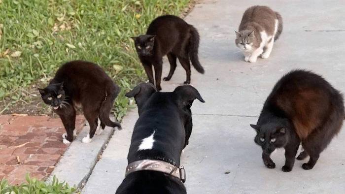 �������, ���� �������� ����� ���, ����� �� �� ����� ����� �� ���������!