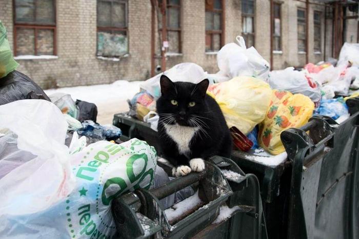 ��� ���������� �� ��������� �������� ����� 3, �������������� ������ � �������������� �������� �����.